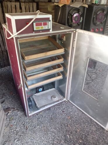 xaski itleri qiymeti: Az işlənib. Xeyirli inkubatordu — 4