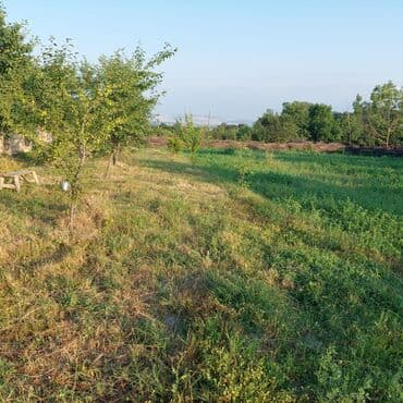 suraxani dede qorqud: 12 sot, Kənd təsərrüfatı, Barter mümkündür, Kupça (Çıxarış) — 4