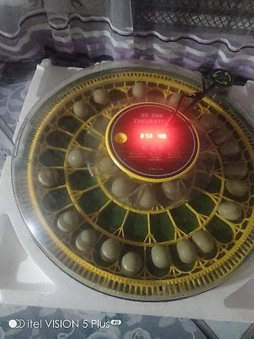 Biznes üçün avadanlıq: 50 yumurta, Tam avtomat — 2