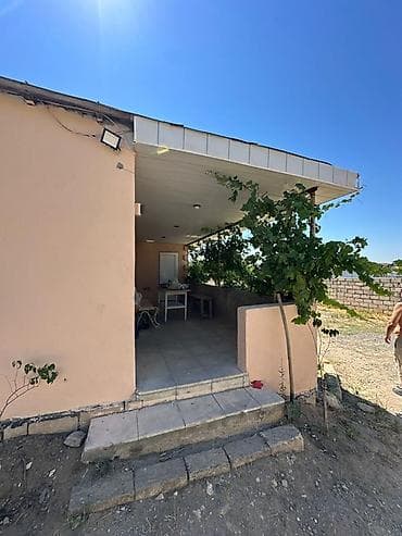 ev və bağ: Satılır Bağ Evi – Novxanı, Qurtdərəsi (6 Sortu) Novxanı qəsəbəsinin — 3