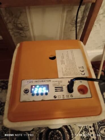 inkubator rus: 16liq - 110 manat 36 liq - 160 manat Üç dəfə istifadə olunub və — 1