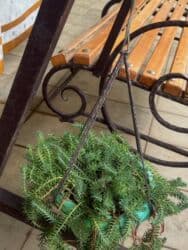 yeni il şənliyi 2022: Xalça — 50