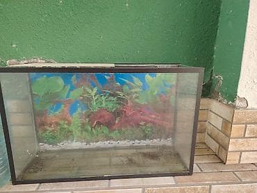 baliq akvarium satisi: Dördbucaq akvarium, Boş, 120 l, Ünvandan götürmə — 2