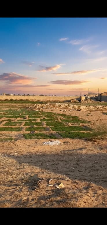 Tikinti lalafo.az -da Tikinti