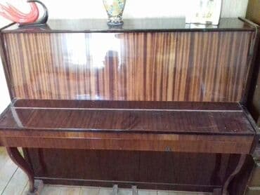 пионина: Пианино, Takamine, Акустический, Б/у, Платная доставка — 2