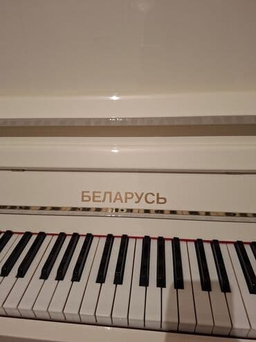 CD, DVD disklər və kassetlər: Piano, Belarus, Akustik, Yeni, Pulsuz çatdırılma — 3