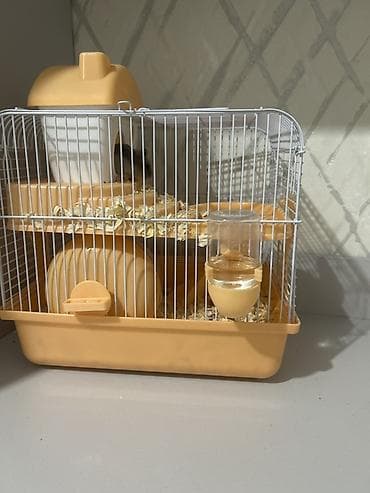 Heyvanlar üçün mallar: Hamster üçün tam avadanlıqlı qəfəs dəsti çinsi qızdı - Material — 2