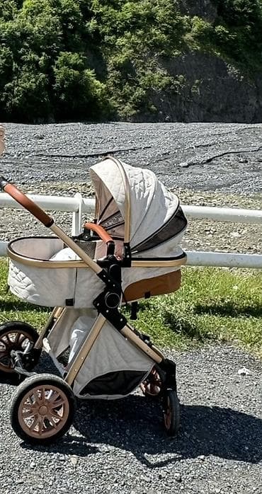 2-i 1-də araba, Cins: Qız