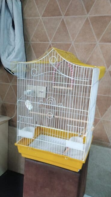 аксессуары для клетки попугая: Papuqay aksesuarlari qefesler — 3