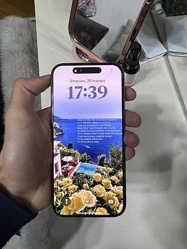iphone 14 pro 2 ci el: IPhone 15 Pro Max, 128 GB, Gümüşü, Face ID — 2
