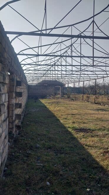 Şlanqlar: Metal konstruksiyalı istixana. Geniş sahəni əhatə edən bu istixana — 1