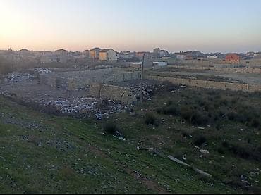 gen: 12 sot, Tikinti, Barter mümkündür — 2