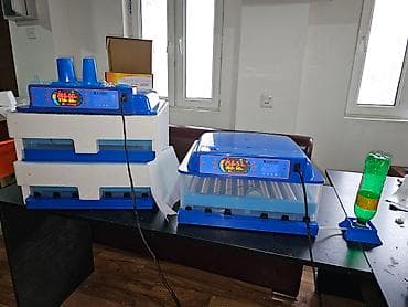 İnkubatorlar: 100 yumurta, Çin, Bütün növ quşlaq üçün, Azərbaycan dilində təlimat, Zəmanət ilə — 2