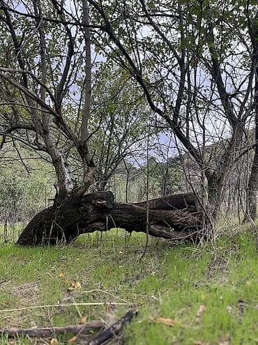 online operator vakansiya: Друзья, всем привет 🤍 Сейчас ищу удалённую работу (онлайн) — 1