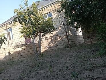 topaq: 6 sot, Biznes üçün, Mülkiyyətçi, Kupça (Çıxarış) — 10