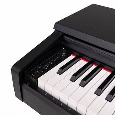 стул для пианино: Piano, Rəqəmsal, Ödənişli çatdırılma, Pulsuz çatdırılma, Rayonlara çatdırılma — 4