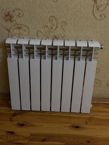 kobiler: 24 kw Hoffmann divar tipli qaz kombi qazanı və 6 radiator (8 — 2
