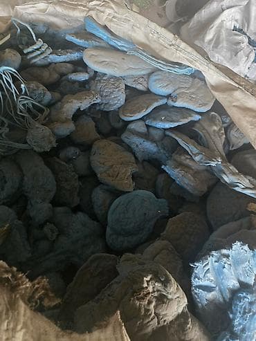 Ремонт и строительство: Şredder ilə ən sərt plastik kūlcələrin (Qlibalarin) ve digər sərt — 4