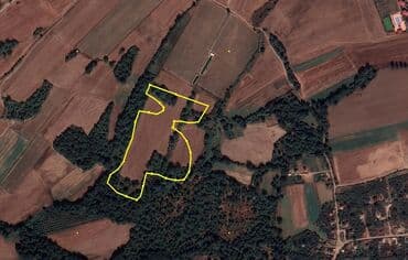 548 sot, Kənd təsərrüfatı, Kupça (Çıxarış) lalafo.az -da 548 sot, Kənd təsərrüfatı, Kupça (Çıxarış)