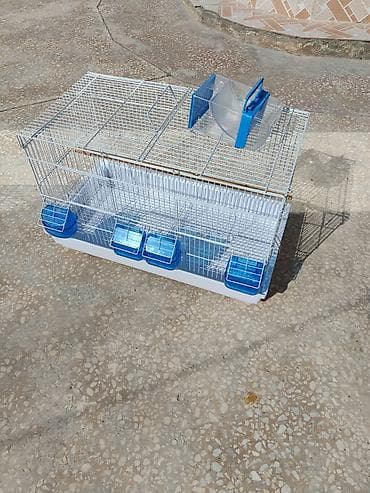 Heyvanlar üçün mallar: Qəfəs - bülbül və amadin üçün, təzə kimidi, 1 dəfə istifadə olunub — 3