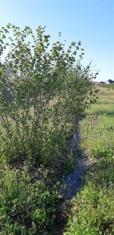 balaxanıda ucuz torpaq 2020: 67 sot, Kənd təsərrüfatı, Mülkiyyətçi — 12