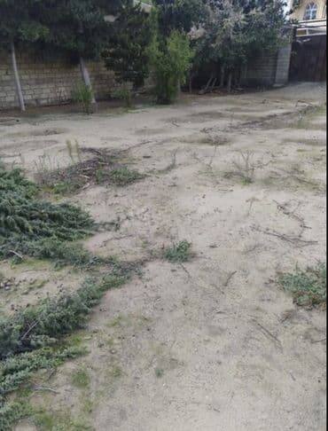 купить участок в бильгя: 3 sot, Tikinti, Mülkiyyətçi, Kupça (Çıxarış) — 2