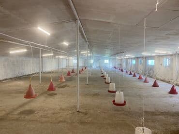 kənd colpası satışı: Ünvan: salyan rayonu, parça xelec kendi, şirvan yolunun üstü 50 sot — 2