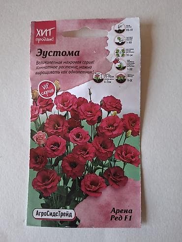 bezek bitkisi: Eustoma (lisianthus) toxumu – “Arena” seriyası, VIP xətt — 2