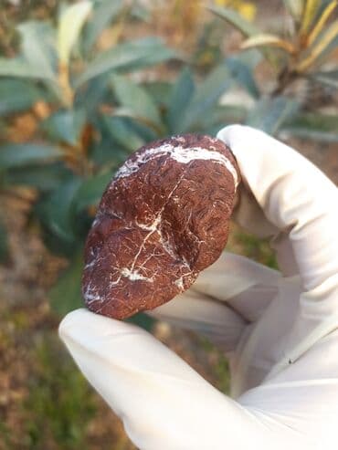 qızılın 1 qramının qiyməti 2022: 💎 Təbii JASPER Daşı😍 Qiymətlə bağlı maraqlananlar zəhmət olmasa — 4