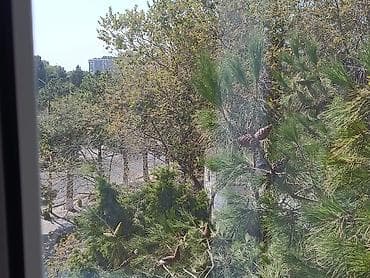şamaxıda ev elanları: 📍 Ünvan: Sumqayıt şəhəri, 1-ci mikrorayon, “Pervi” adlanan ərazi – — 7