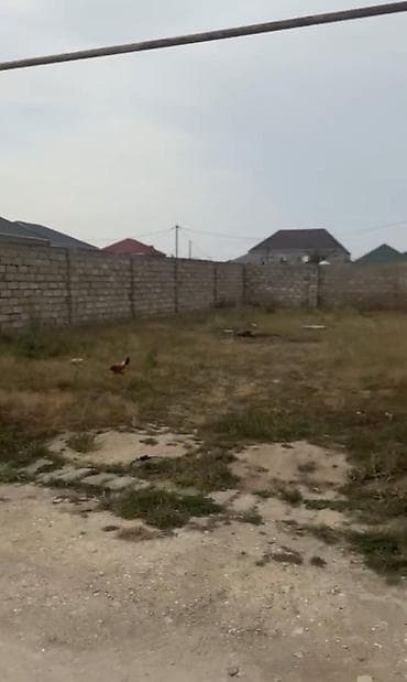 savalan torpag: 3 sot, Tikinti, Maklerlər narahat etməsin, Kupça (Çıxarış) — 4