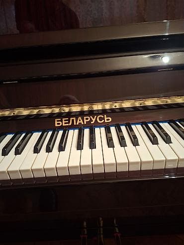 not dayağı: Piano, Belarus, Akustik, Yeni, Pulsuz çatdırılma — 3