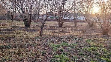 Аренда участков: Для сельского хозяйства — 3