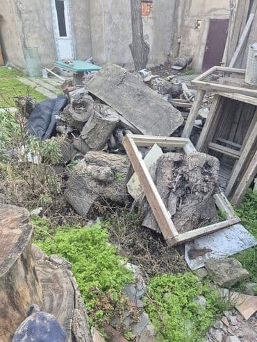 odun kesen mator: Salam odun satilir — 3