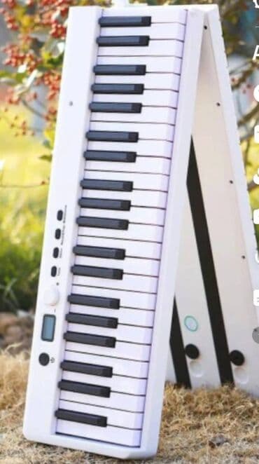 Digər: Təzədir. Qutuda. Pianino kursuna başlayanlar üçün, Fotepiano — 3