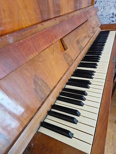 pianıno: Belarus upright pianino-Endirim olunacaq real alıcıya.Ciddi olanlar — 1