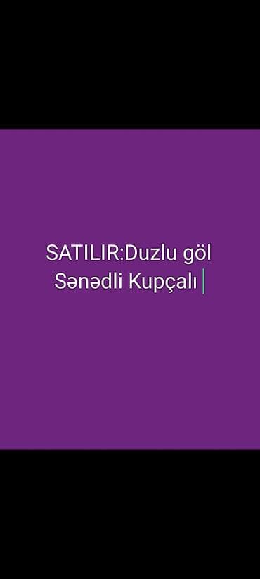 25 sot, Kupça (Çıxarış)