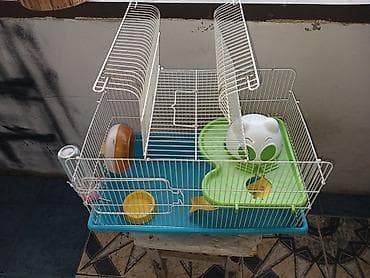 qefes: Hamster üçün tam dəst qəfəs Xüsusiyyətlər: - Metall çubuqlu, üst — 1