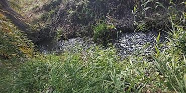 38 sot, Biznes üçün, Kupça (Çıxarış)