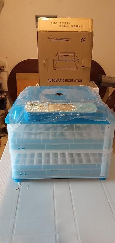 İnkubatorlar: İnkubator, 140 toyuq yumurtası gedir — 1