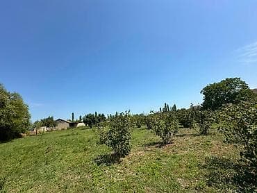 samaxi torpaq: 20 sot, Kənd təsərrüfatı, Mülkiyyətçi, Kupça (Çıxarış) — 2
