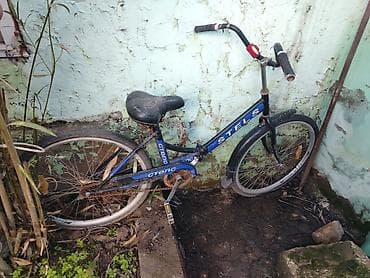 aurus bicycle: Şəhər velosipedi Stels, 24", sürətlərin sayı: 1 — 1