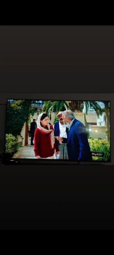 купить телевизор: İşlənmiş Televizor Hoffmann LCD HD (1366x768), Ünvandan götürmə — 1