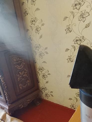 ventilyator su ile: Bu məhsul: buxarlı paltar ütüləyici/garment steamer (marka: “Семья”) — 1