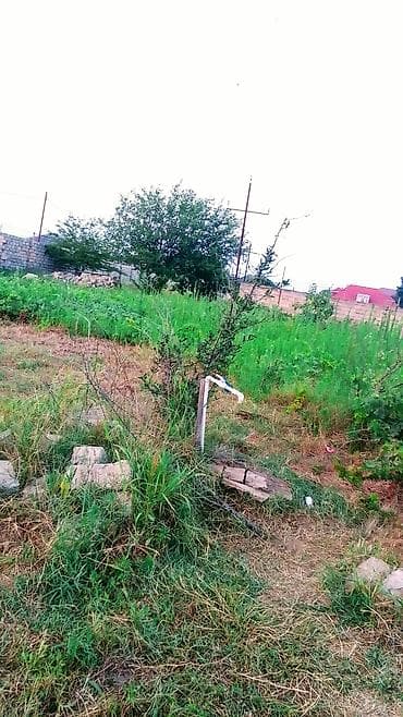 42 sot, Biznes üçün, Mülkiyyətçi — 2