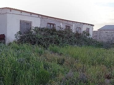Bağ evlərinin satışı: Bakı, Binə, 1400 kv. m, 4 otaqlı, Hovuzlu, Qaz, İşıq, Artezian quyusu — 9
