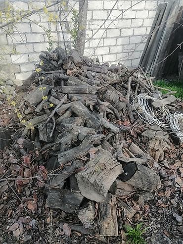 şam r16: Quru odun – qarışıq ölçülərdə kəsilmiş kötük və budaqlar - Təbii — 1