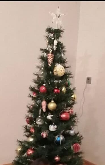 Yeni il yolkasi, Yolka rengareng işıqlanmaynandı 1.70 sm