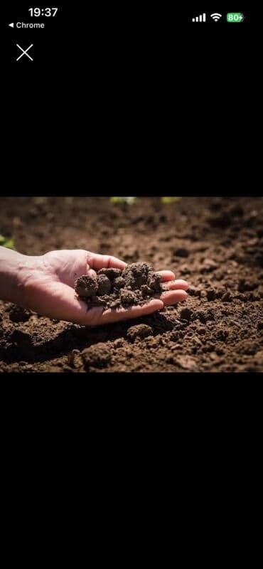 SATILIR – ƏKİN TORPAĞI Şəki rayonu, 1-ci Bilecik kəndi 140 sot torpaq