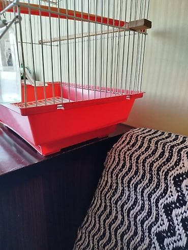qefes boyuk: Qırmızı-ağ quş qəfəsi - Material: metal barmaqlıqlar, plastik altlıq — 5